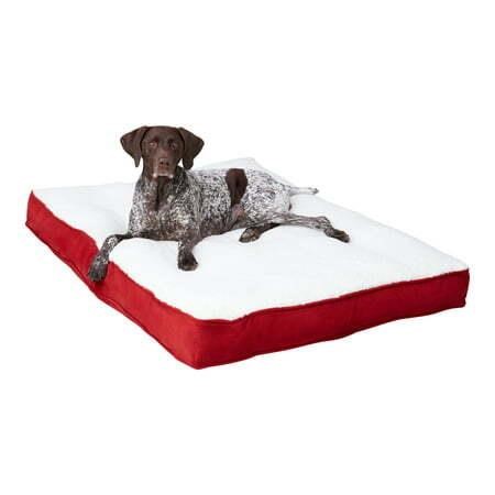 Daisy Deluxe Supportive Pillow Dog Bed $51