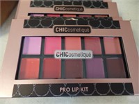 4 Chicosmetique Pro Lip Kit