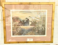 Beautifully framed and matted print of flying