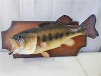 Bass on Plaque Fish Wall Mount Taxidermy