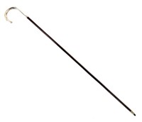 Silver Handle Walking Stick