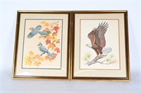 Pair Of Framed Bird Prints