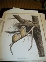 Guy Coheleach Bird Prints