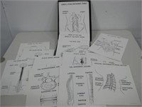 Vtg Benders Anatomy Charts For Courtroom Use