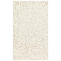 R3841  Mainstays Solid Ivory Shag Accent Rug 18