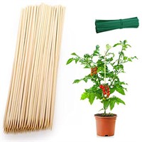 Frcctre 200 Pack 16 Inches Bamboo Plant Stakes,
