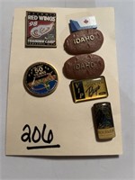 Misc. Sports Pins - Redwings
