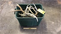 (14+-) Assorted Antler Sheds In Plastic Tote