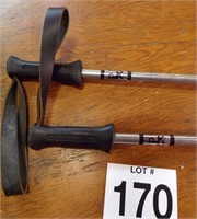 Vintage Ski Poles