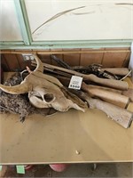 Various Toy Gun Parts and Animal Skull