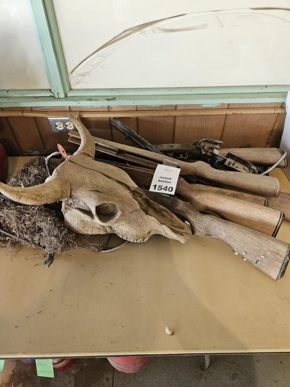 Various Toy Gun Parts and Animal Skull