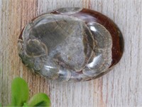 MUSHROOM RHYOLITE CABOCHON ROCK STONE LAPIDARY SPE