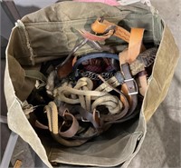 Bag of Halters Leads and More