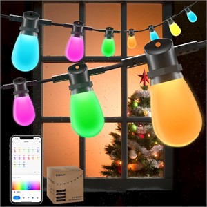 NEW $90 RGBW Smart Outdoor String Lights 48'