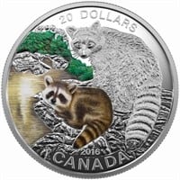 2016 $20 Baby Animals: Raccoon - Pure Silver Coin