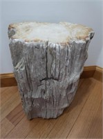 Petrified Wood 12x10"