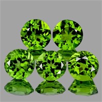 Natural Green Peridot 5 pcs {Flawless-VVS1}