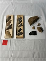 10 Arrowheads 5 Fossils