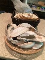 Baskets of Shells & rock collection