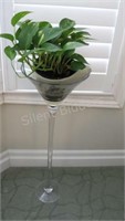 Floor Glass Martini Glass with Real Ivy Plant