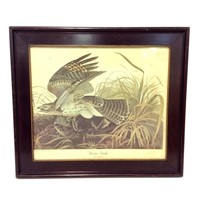 Framed "Winter Hawk" Print