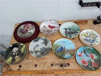 8 Collector Plates