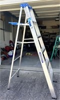 Werner 6’ Folding Ladder