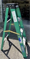 Werner 4’ Ladder