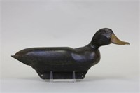 Black Duck Decoy by Unknown Carver, Glass Eyes,