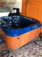 Three person Jacuzzi with cover #184