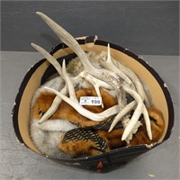 Fur Hats & Scarves - Deer Antlers - Etc