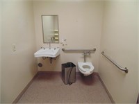 Handicap Sink, Toilet, Rails & Mirror
