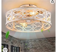 20" Caged Ceiling Fan with Light and