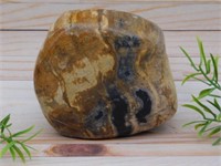 PETRIFIED WOOD ROCK STONE LAPIDARY SPECIMEN