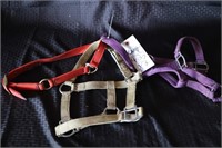 2 Halters and Collar