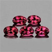 Natural Rhodolite Garnet 5 Pcs [Flawless-VVS]