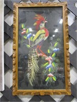 Feathered Bird Wall Art