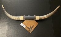 Taxidermy Mounted Horns & Inside Horn.