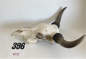 Genuine Cow Skull