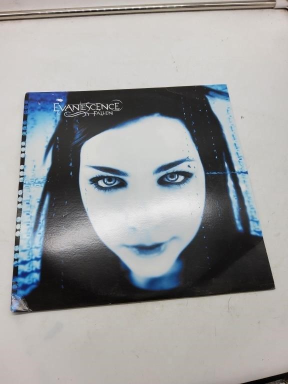 Evanescence fallen vinyl