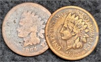 (2) Indian Head Cents: 1864 & 1865