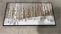 Picture of birch trees