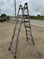 Werner Multi-Height Ladder