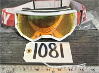 Pair of Ski/Snowboarding Goggles