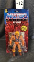masters of the universe he man