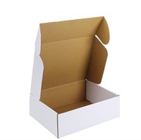 12x9x4 Shipping Boxes Pack of 20, White 12x9x4...