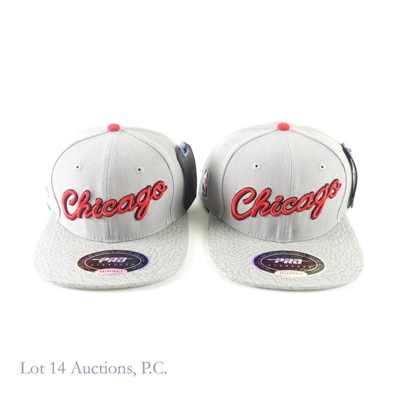 Pro-Standard Bulls Grey Leather Hats (Tags) (2)