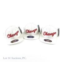 Pro-Standard Bulls White Leather Hats (Tags) (3)