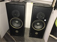 2 Axiom Speakers 19 1/2" tall