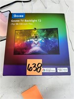 Govee Envisual TV LED Backlight T2